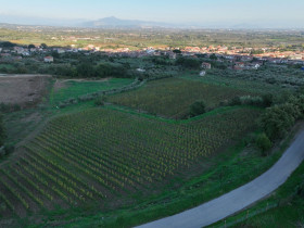 Immagine descrittiva per percorso