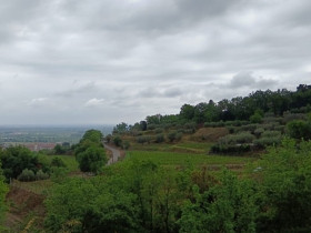 Immagine descrittiva per percorso