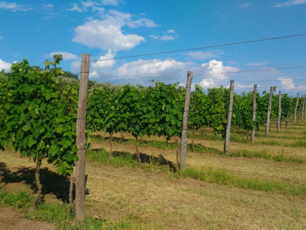 Immagine descrittiva per percorso