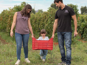 Immagine descrittiva per percorso