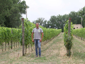 Immagine descrittiva per percorso