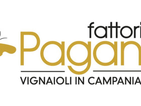 Immagine descrittiva per percorso