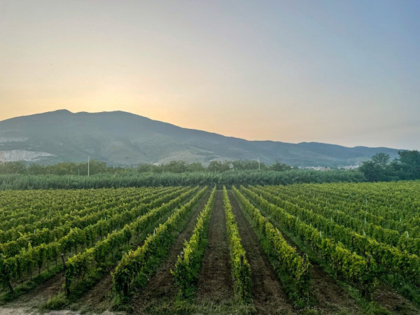 Immagine descrittiva per percorso