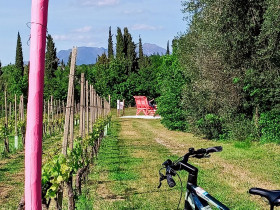 Immagine descrittiva per percorso