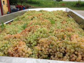 Immagine descrittiva per percorso