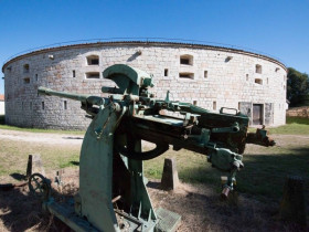 Immagine descrittiva per percorso