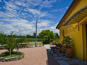 Immagine descrittiva per percorso