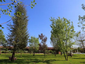 Immagine descrittiva per percorso