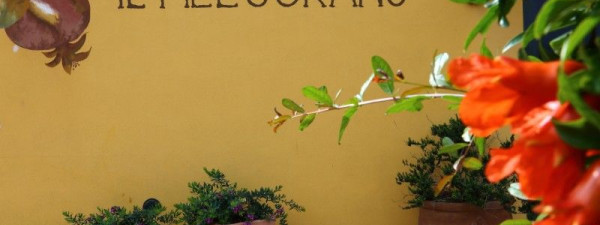 Immagine descrittiva per percorso