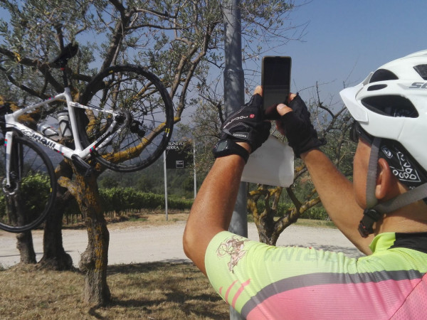 Immagine descrittiva per percorso