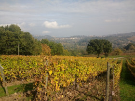 Immagine descrittiva per percorso