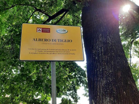 Immagine descrittiva per percorso