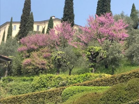 Immagine descrittiva per percorso