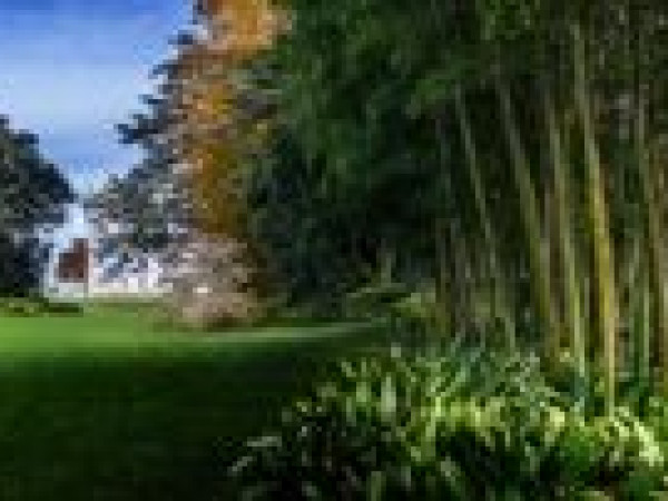 Immagine descrittiva per percorso