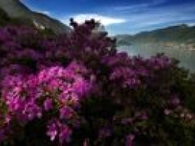 Immagine descrittiva per percorso