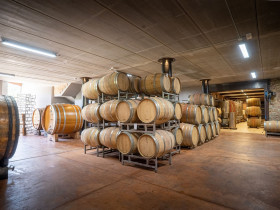 Immagine descrittiva per percorso