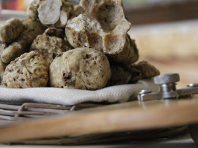 Immagine descrittiva per percorso