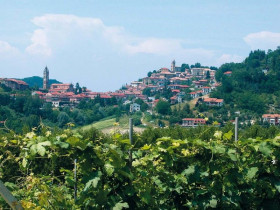 Immagine descrittiva per percorso