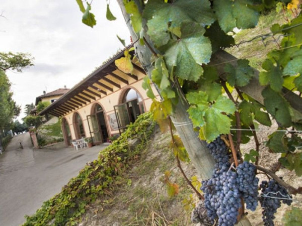 Immagine descrittiva per percorso