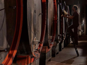 Immagine descrittiva per percorso