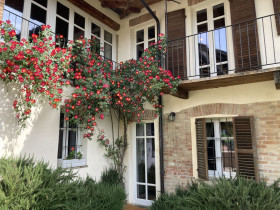 Immagine descrittiva per percorso