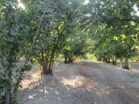 Immagine descrittiva per percorso