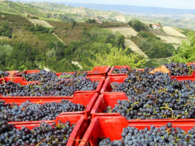 Immagine descrittiva per percorso