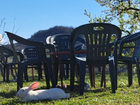 Immagine descrittiva per percorso