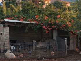 Immagine descrittiva per percorso