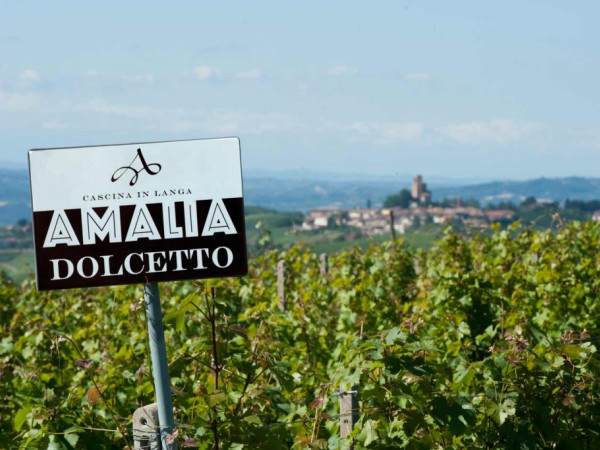 Immagine descrittiva per percorso