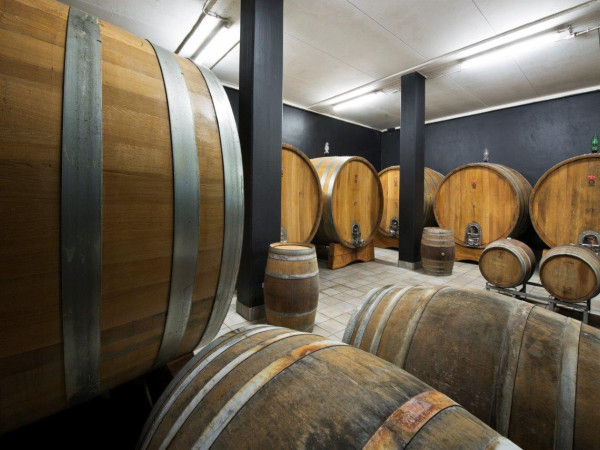 Immagine descrittiva per percorso