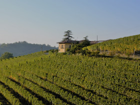 Immagine descrittiva per percorso