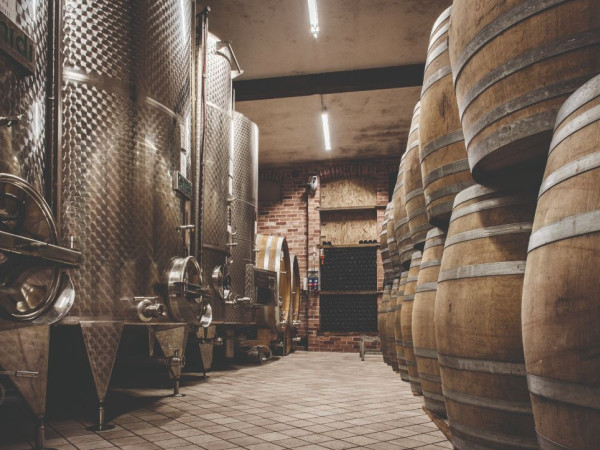 Immagine descrittiva per percorso