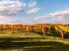 Immagine descrittiva per percorso