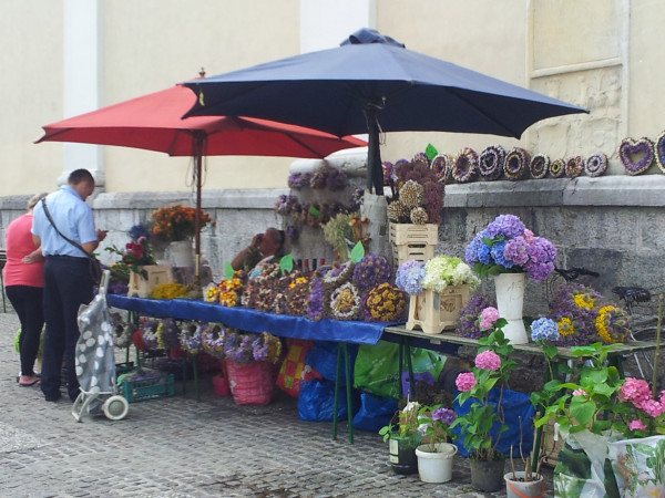 Immagine descrittiva per percorso