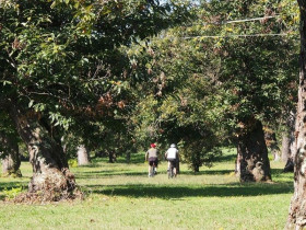 Immagine descrittiva per percorso