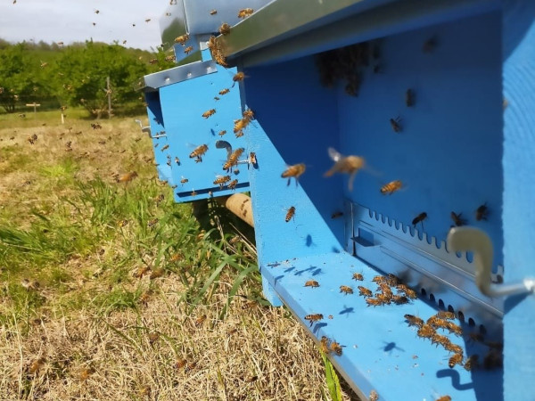 Immagine descrittiva per percorso