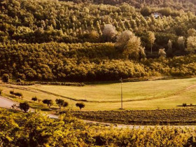 Immagine descrittiva per percorso