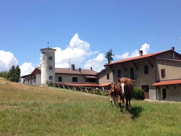 Immagine descrittiva per percorso