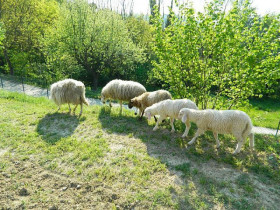 Immagine descrittiva per percorso