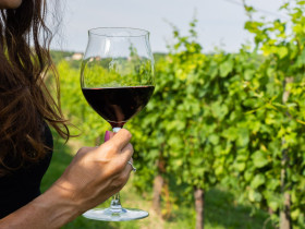 Immagine descrittiva per percorso