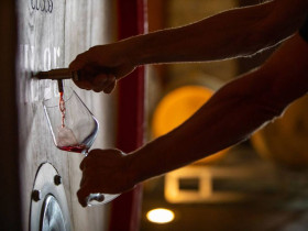 Immagine descrittiva per percorso