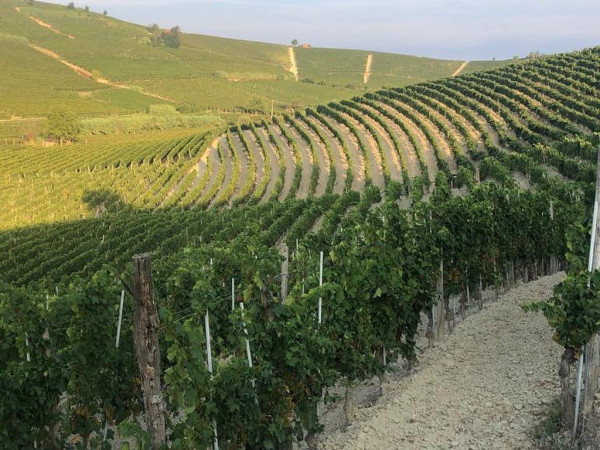 Immagine descrittiva per percorso