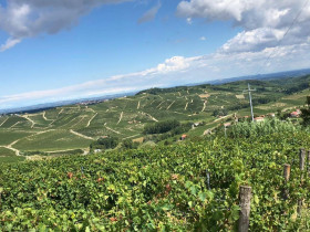 Immagine descrittiva per percorso