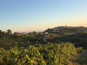 Immagine descrittiva per percorso