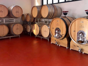 Immagine descrittiva per percorso