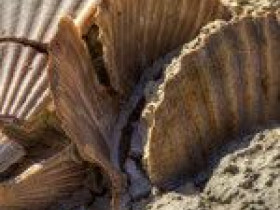 Immagine descrittiva per percorso