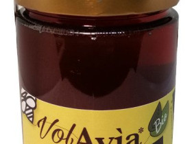 Immagine descrittiva per percorso