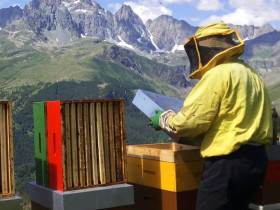 Immagine descrittiva per percorso