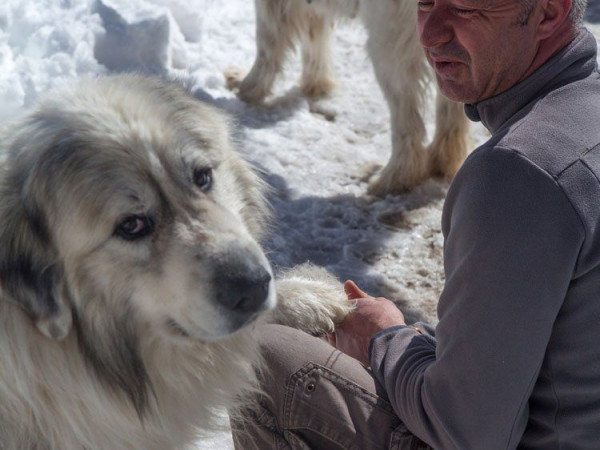 Immagine descrittiva per percorso